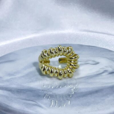 Spring Ring